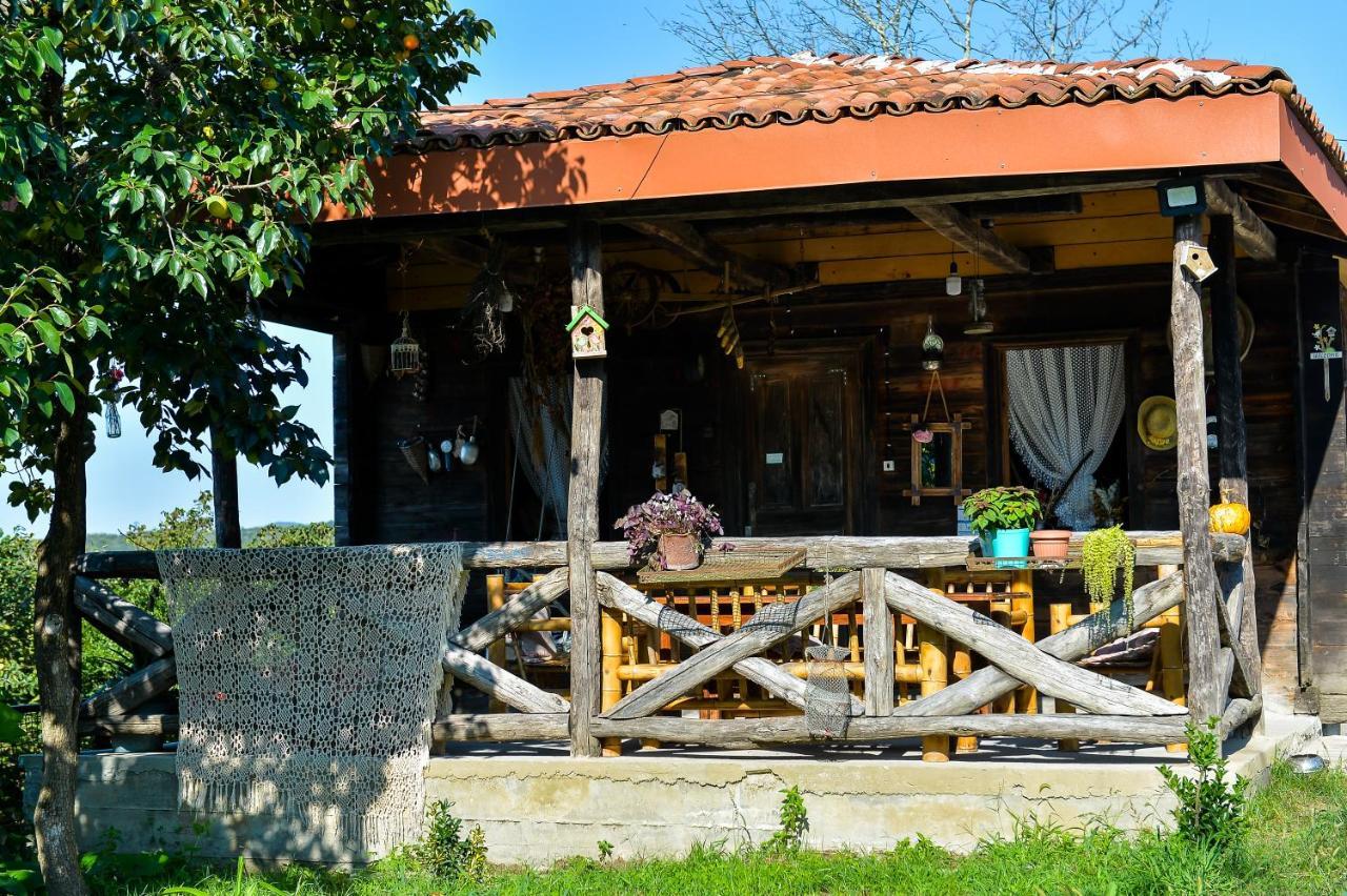 Agro Guesthouse Korena Kutaisi Zewnętrze zdjęcie