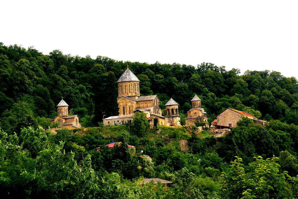 Agro Guesthouse Korena Kutaisi Zewnętrze zdjęcie