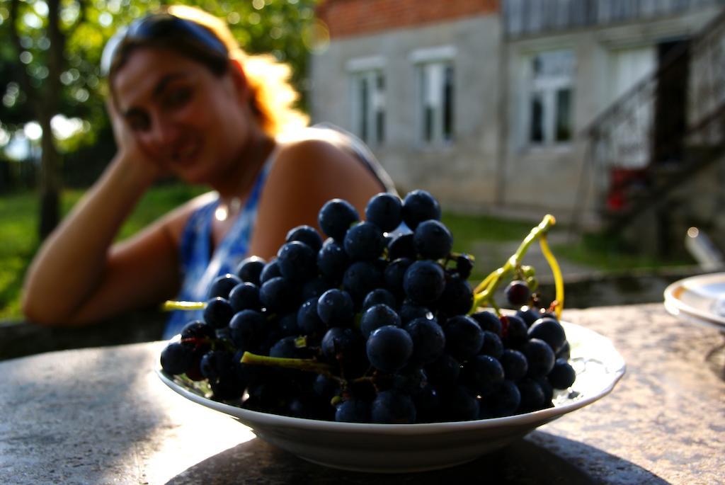 Agro Guesthouse Korena Kutaisi Zewnętrze zdjęcie