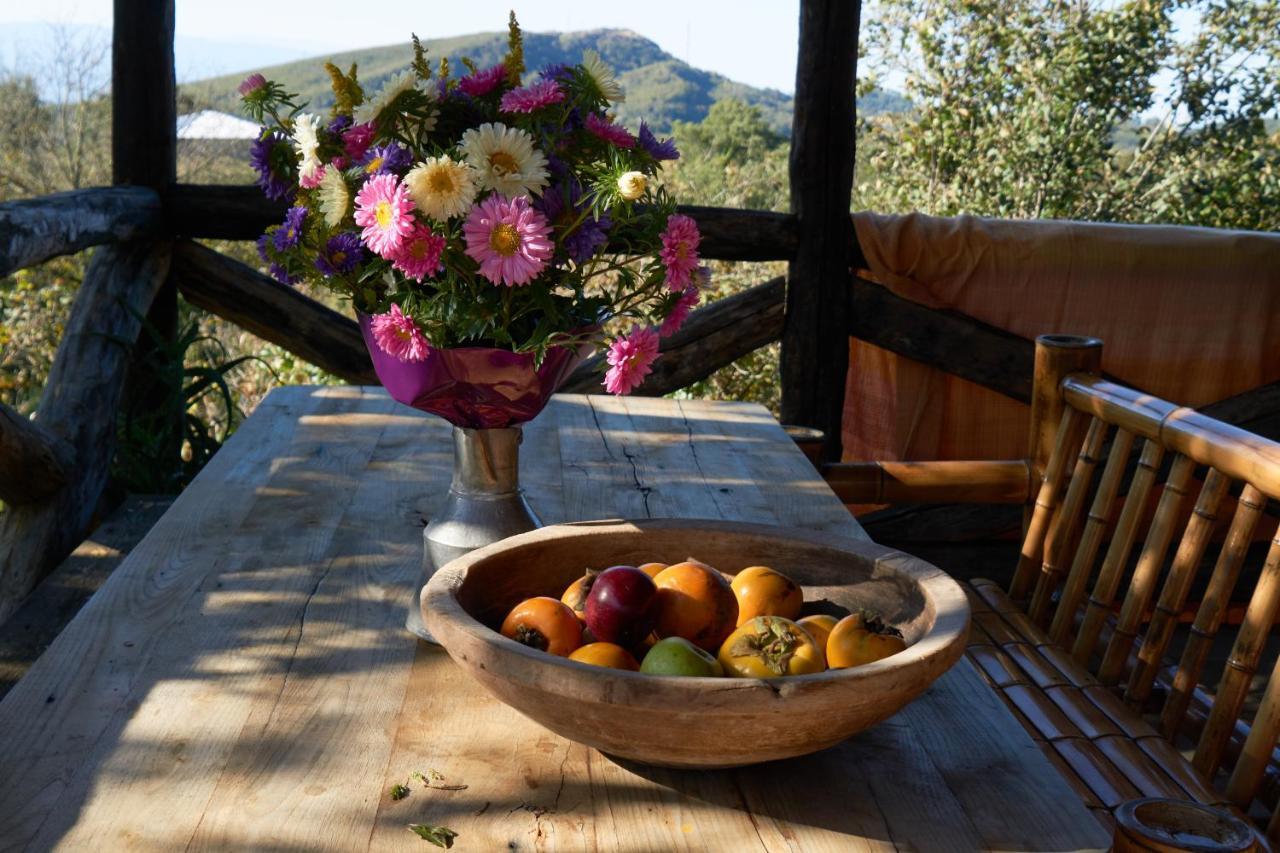 Agro Guesthouse Korena Kutaisi Zewnętrze zdjęcie